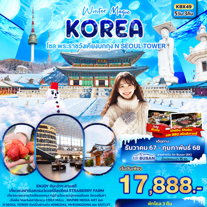 Winter Magic Korea Seoul โซล พระราชวังเคียงบกกุง N SEOUL TOWER 5วัน 3คืน