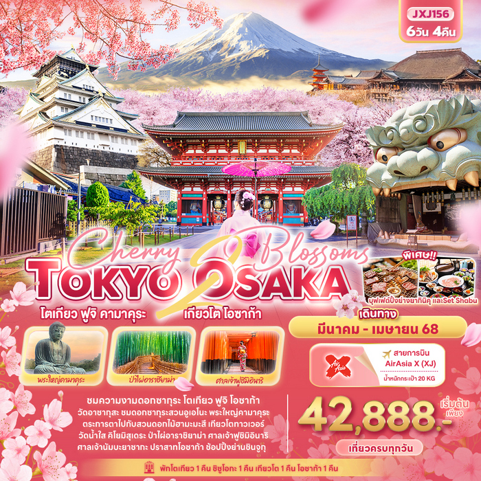 Cherry 2 blossoms TOKYO OSAKA โตเกียว ฟูจิ คามาคุระ เกียวโต โอซาก้า 6วัน 4คืน