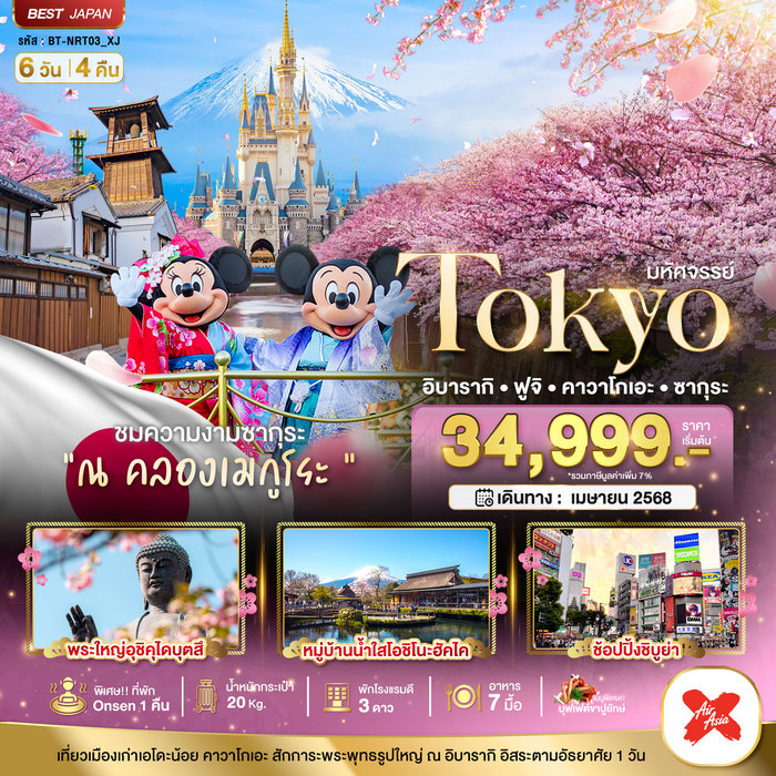 ทัวร์โตเกียว TOKYO อิบารากิ ฟูจิ คาวาโกเอะ ซากุระ 6 วัน 4 คืน