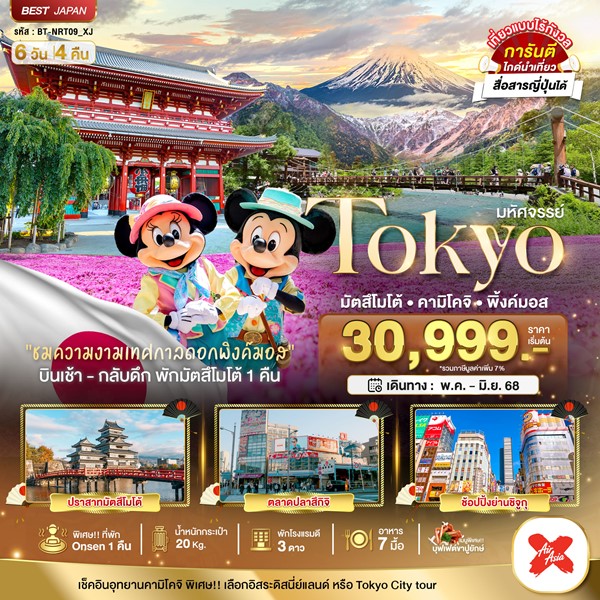 ทัวร์โตเกียว TOKYO มัตสึโมโต้ คามิโคจิ พิ้งค์มอส 6 วัน 4 คืน