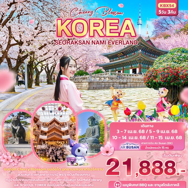 Cherry Blossom KOREA SEORAKSAN NAMI EVERLAND 5วัน 3คืน